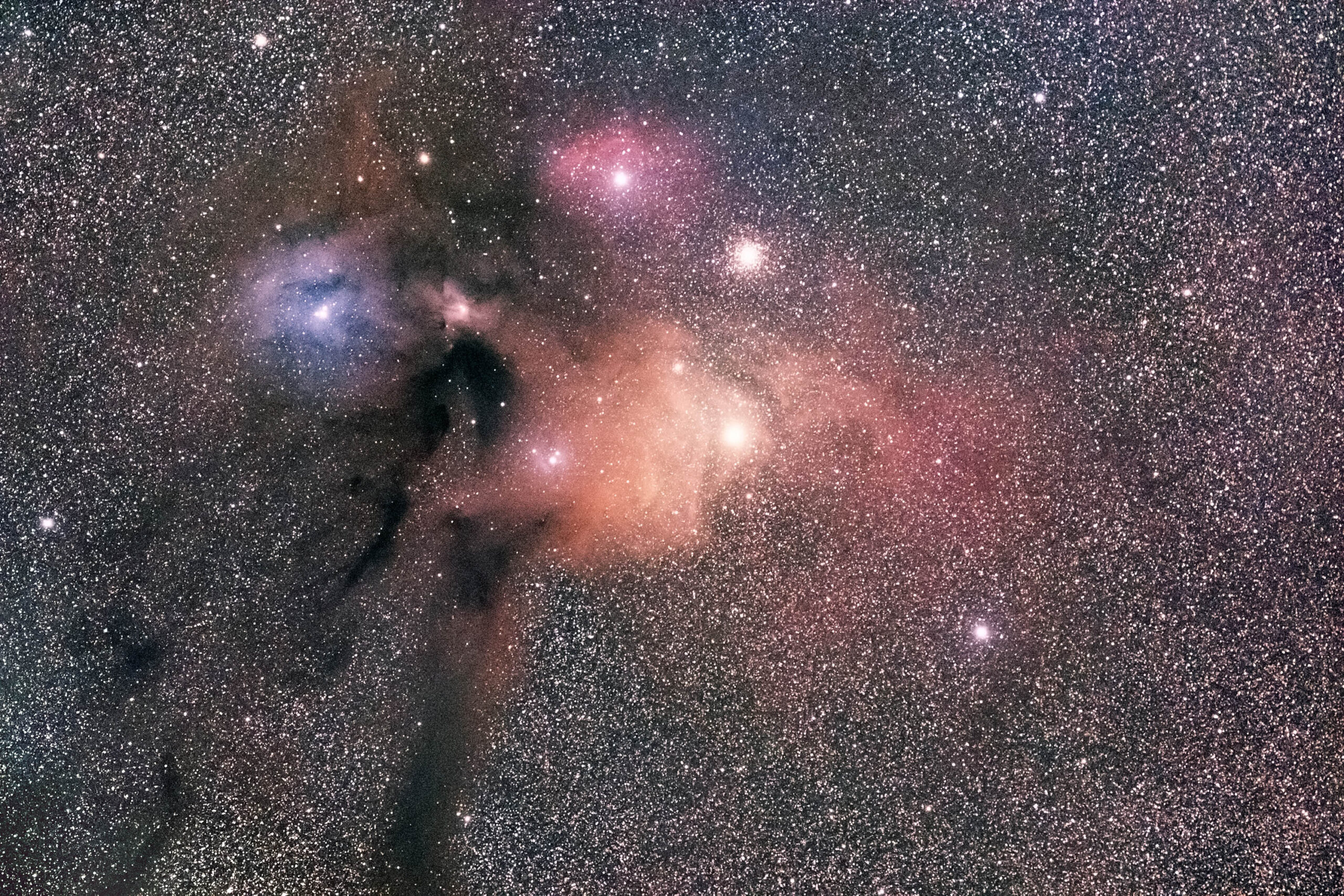 Rho Oph molecular cloud complex
