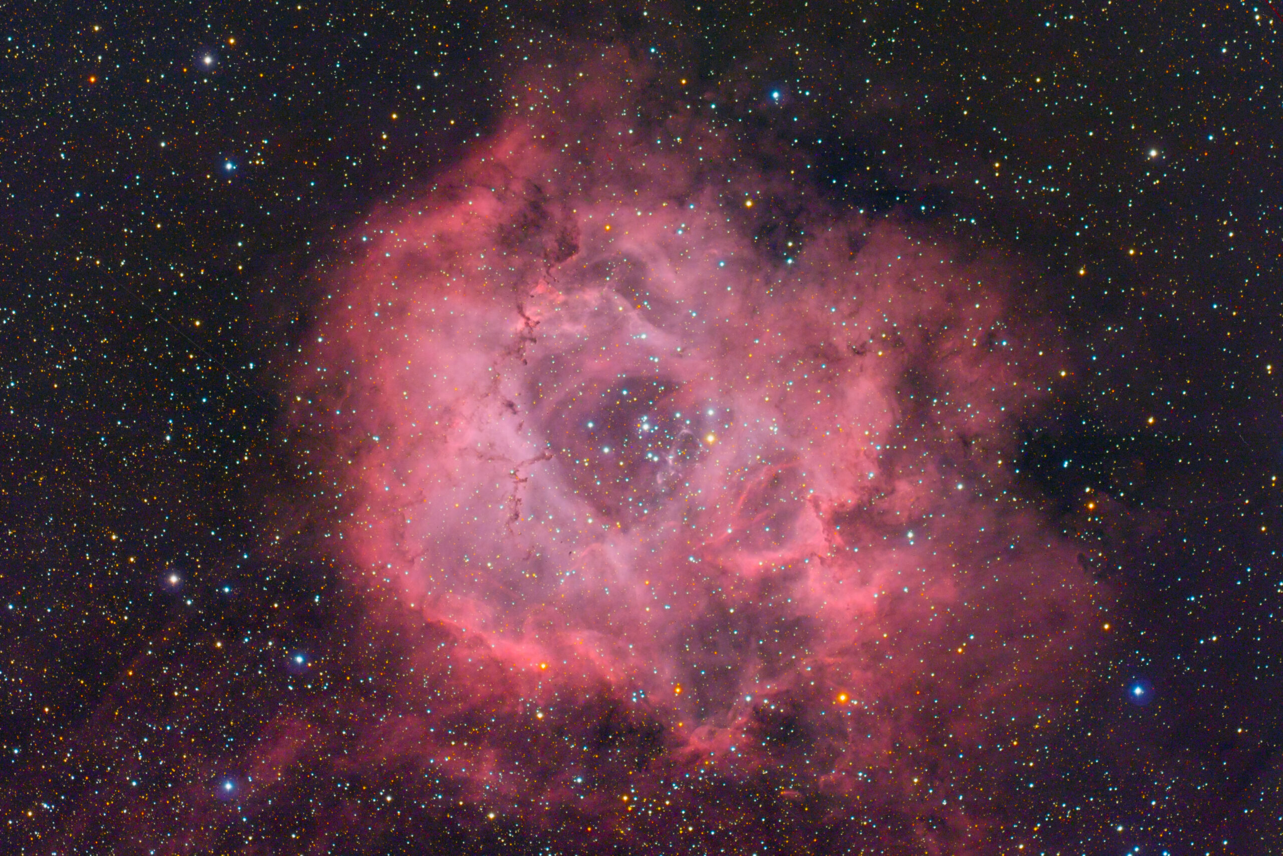 NGC 2244: Rosette nebula